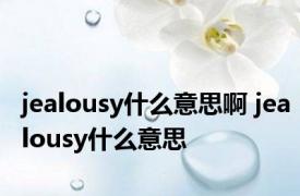 jealousy什么意思啊 jealousy什么意思