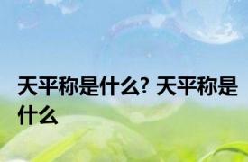 天平称是什么? 天平称是什么