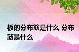 板的分布筋是什么 分布筋是什么