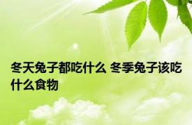 冬天兔子都吃什么 冬季兔子该吃什么食物