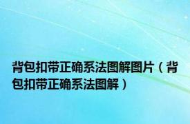 背包扣带正确系法图解图片（背包扣带正确系法图解）