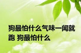 狗最怕什么气味一闻就跑 狗最怕什么