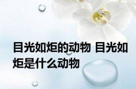 目光如炬的动物 目光如炬是什么动物