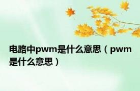 电路中pwm是什么意思（pwm是什么意思）