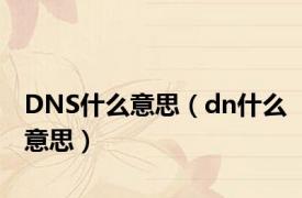 DNS什么意思（dn什么意思）