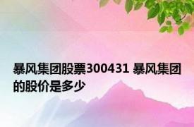 暴风集团股票300431 暴风集团的股价是多少