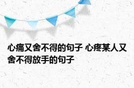 心痛又舍不得的句子 心疼某人又舍不得放手的句子