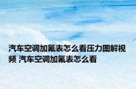 汽车空调加氟表怎么看压力图解视频 汽车空调加氟表怎么看