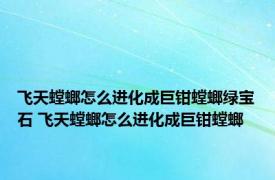 飞天螳螂怎么进化成巨钳螳螂绿宝石 飞天螳螂怎么进化成巨钳螳螂