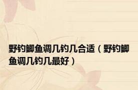 野钓鲫鱼调几钓几合适（野钓鲫鱼调几钓几最好）