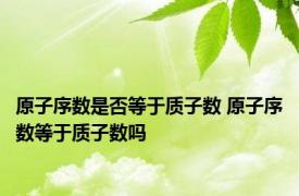 原子序数是否等于质子数 原子序数等于质子数吗