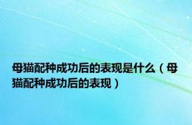 母猫配种成功后的表现是什么（母猫配种成功后的表现）