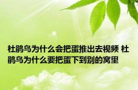 杜鹃鸟为什么会把蛋推出去视频 杜鹃鸟为什么要把蛋下到别的窝里