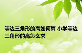 等边三角形的高如何算 小学等边三角形的高怎么求