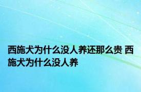 西施犬为什么没人养还那么贵 西施犬为什么没人养