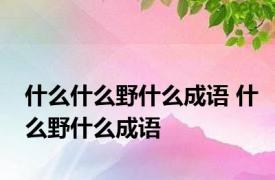 什么什么野什么成语 什么野什么成语