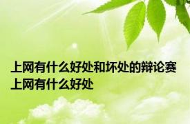 上网有什么好处和坏处的辩论赛 上网有什么好处