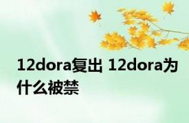 12dora复出 12dora为什么被禁