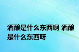 酒酿是什么东西啊 酒酿是什么东西呀