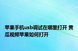 苹果手机usb调试在哪里打开 黄瓜视频苹果如何打开