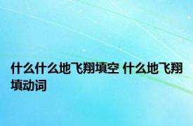 什么什么地飞翔填空 什么地飞翔填动词