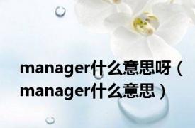 manager什么意思呀（manager什么意思）