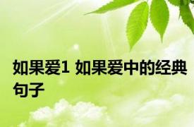 如果爱1 如果爱中的经典句子