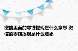 微信里面的零钱提现是什么意思 微信的零钱提现是什么意思