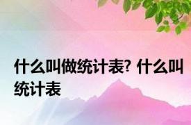 什么叫做统计表? 什么叫统计表