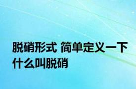 脱硝形式 简单定义一下什么叫脱硝