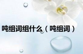 吨组词组什么（吨组词）