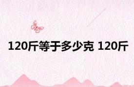 120斤等于多少克 120斤 