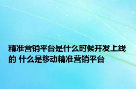 精准营销平台是什么时候开发上线的 什么是移动精准营销平台