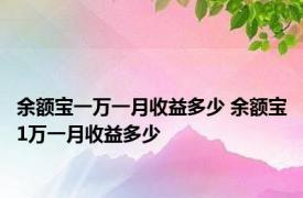 余额宝一万一月收益多少 余额宝1万一月收益多少