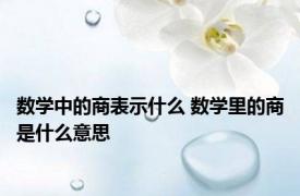 数学中的商表示什么 数学里的商是什么意思