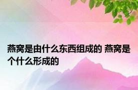 燕窝是由什么东西组成的 燕窝是个什么形成的