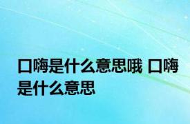 口嗨是什么意思哦 口嗨是什么意思