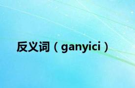 反义词（ganyici）