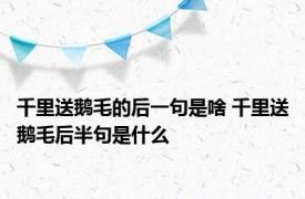 千里送鹅毛的后一句是啥 千里送鹅毛后半句是什么