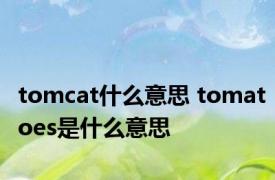 tomcat什么意思 tomatoes是什么意思