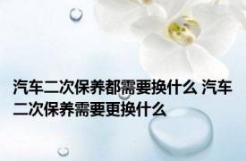 汽车二次保养都需要换什么 汽车二次保养需要更换什么