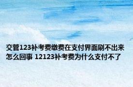 交管123补考费缴费在支付界面刷不出来怎么回事 12123补考费为什么支付不了