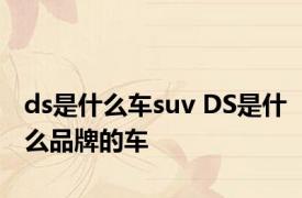 ds是什么车suv DS是什么品牌的车