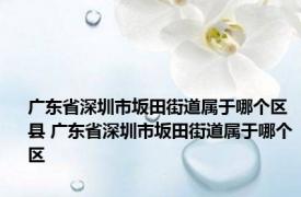 广东省深圳市坂田街道属于哪个区县 广东省深圳市坂田街道属于哪个区