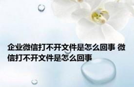 企业微信打不开文件是怎么回事 微信打不开文件是怎么回事