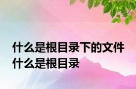 什么是根目录下的文件 什么是根目录