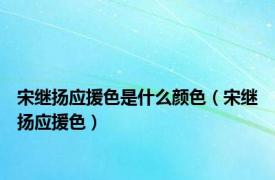 宋继扬应援色是什么颜色（宋继扬应援色）