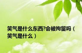 笑气是什么东西?会被拘留吗（笑气是什么）