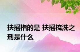 扶摇指的是 扶摇梳洗之刑是什么