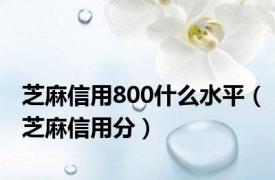 芝麻信用800什么水平（芝麻信用分）